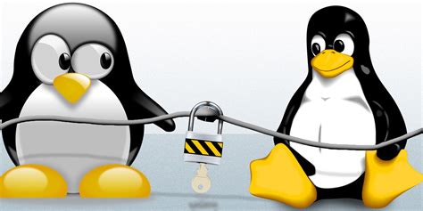 Art Of Technology How To Set Up Ssh On Linux And Test Your Setup A