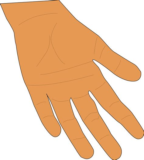 Hand Palm Fingers Free Vector Graphic On Pixabay