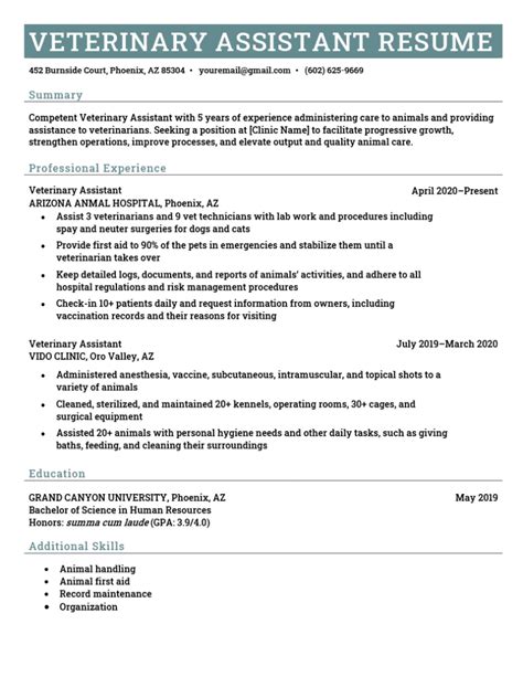 Veterinary Assistant Resume Examples And How To Write