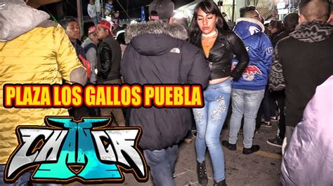 Sonido La Changa ~cumbia De Los Carnavales ~ Exito Plaza Los Gallos Pue