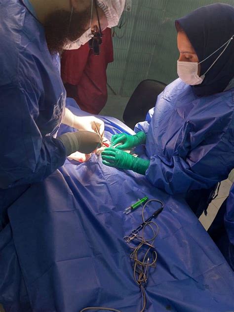 صحة الإسكندرية نجاح جراحة عيب خلقي بالحبل الشوكي لطفل حديث الولادة