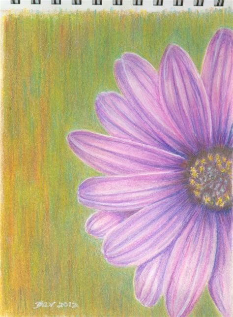Flower Paintings With Colored Pencils Step By Step Guide Feltmagnet