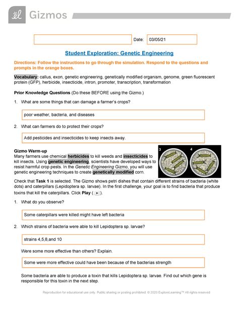 Suppose that over time trees became covered in lichen and the proportion of light. Student Exploration Natural Selection Gizmo Answer Key - 2 - Natural and artificial selection ...
