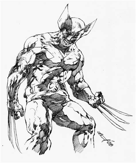 Wolverine Drawing At Getdrawings Free Download