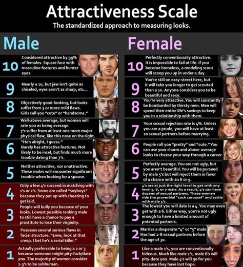 standardised attractiveness scale r coolguides