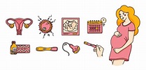 embarazo establece iconos en estilo doodle, cuidado prenatal 3145622 ...