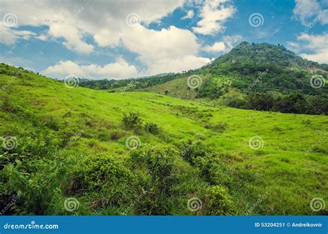 Tropical Mountain Forest Palm Trees In Sunlight Stock Image Image Of