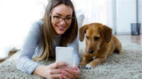 1982 as veterinary pet insurance (vpi) and nationwide acquired and started. 6 Favorite Apps for Pet Parents | Healthy Paws