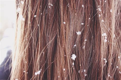 Snow Flakes In Hair Snow Flakes Winter Wonder World Hair