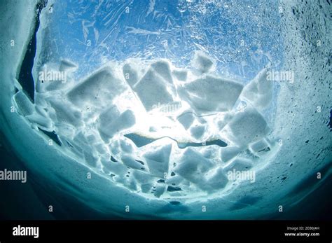 Underwater Ice Hi Res Stock Photography And Images Alamy