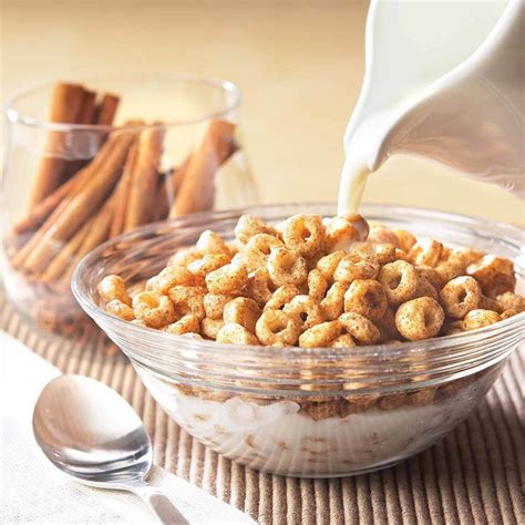 Buy Wholesome Provisions Cinnamon Protein Cereal Online Low Carb Keto