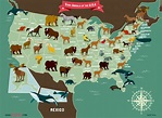 State Animals Of The USA Map | Jennifer Farley