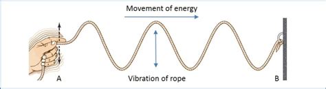 Longitudinal And Transverse Waves A Level Physics Revision Notes