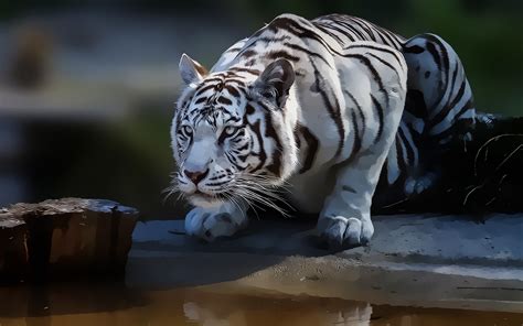 Detalles más de 73 fondo pantalla tigres última camera edu vn