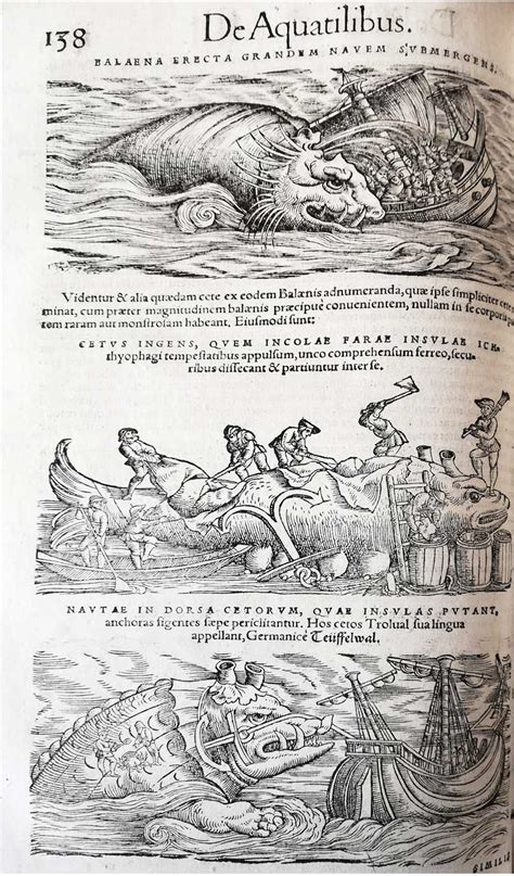 Historia Animalium 1551 Gonville And Caius