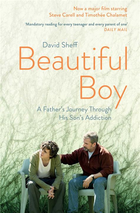 Beautiful Boy Book By David Sheff Official Publisher