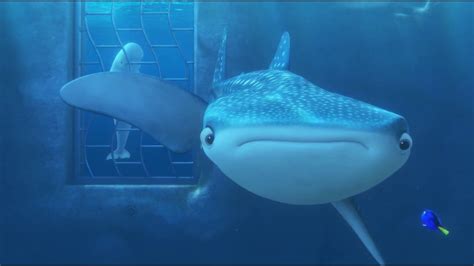 Finding Dory Whale Shark