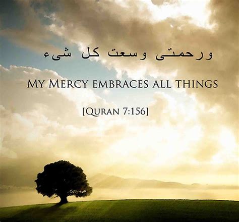 There are many verses in the quran which allah states what he loves and what he doesn't. Quran Quotes About Peace. QuotesGram