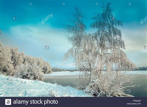 Winter Landscape With Trees Covered With Hoarfrost And Lake Vie Stock