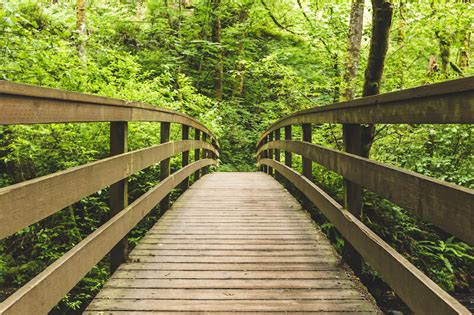 Lake Oswego Hiking Trails 6 Places For Walking And Jogging