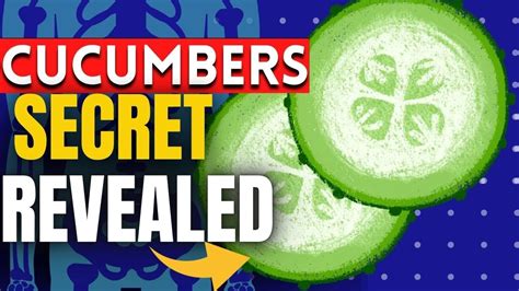 Secret Benefits Of Eating Cucumbers Every Day Your Body Is Missing