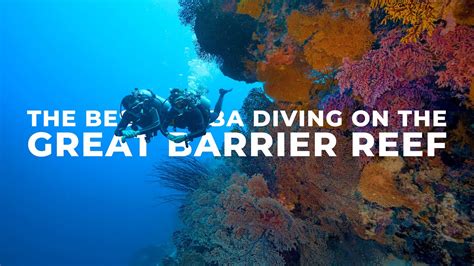 The Best Scuba Diving On The Great Barrier Reef Youtube