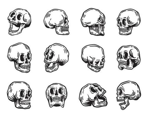 Skull Vector Art Icons And Graphics For Free Download
