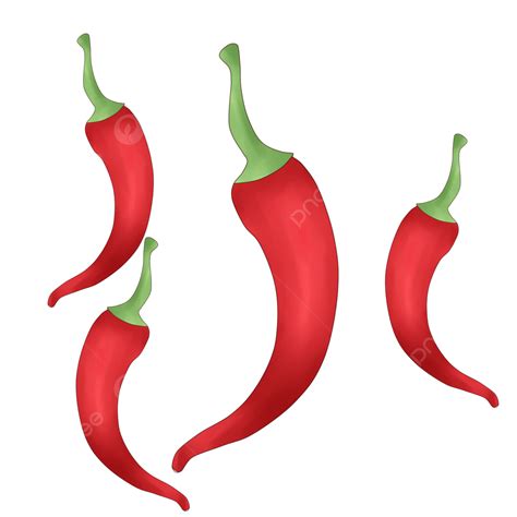 Chili Clipart Transparent Png Hd Chili Hand Draw Realistic No