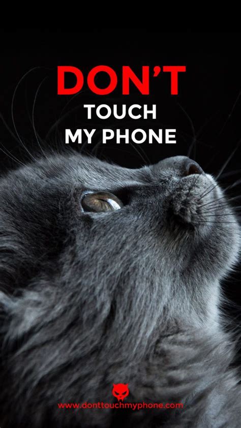 We have 72+ background pictures for you! Don't Touch My Phone Cute Cat Wallpapers | Cat wallpaper, Dont touch my phone wallpapers, Touch me