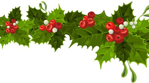 Mistletoe Clip Art Decoration Projects Christmas Long Free