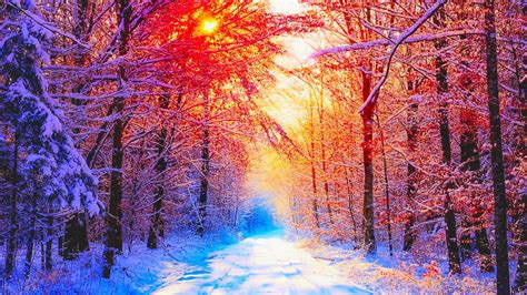 Pretty Winter Backgrounds 51 Images