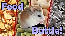 倉鼠 Hamster - 喜愛食物大比拼 (總決賽) Food Battle (Final)! - YouTube