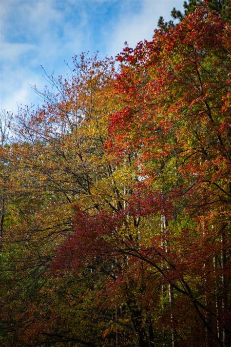 See 51 Photos Of Gorgeous Fall Foliage Scenery Around Northeast Ohio