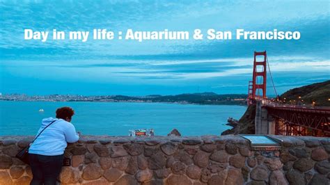 Spend The Day With Me Exploring San Francisco And Aquarium Youtube