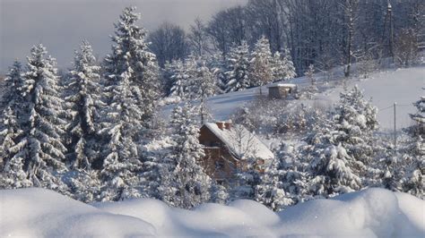 Snow Covered Trees And Field Snow House Hd Wallpaper Wallpaper Flare