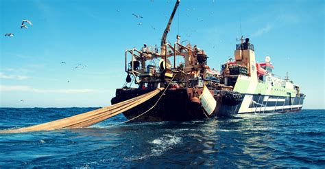 Oceana Exige A La Ue Que Imponga Límites A La Pesca Industrial En 2018