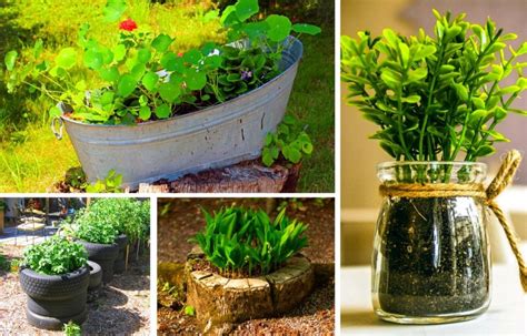 10 Best Diy And Cheap Container Vegetable Gardening Ideas