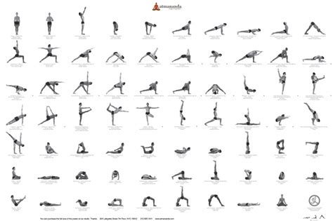 Yoga Positions With Name