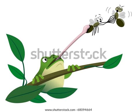 Frog Catching Fly Stock Vector Royalty Free 68094664 Shutterstock