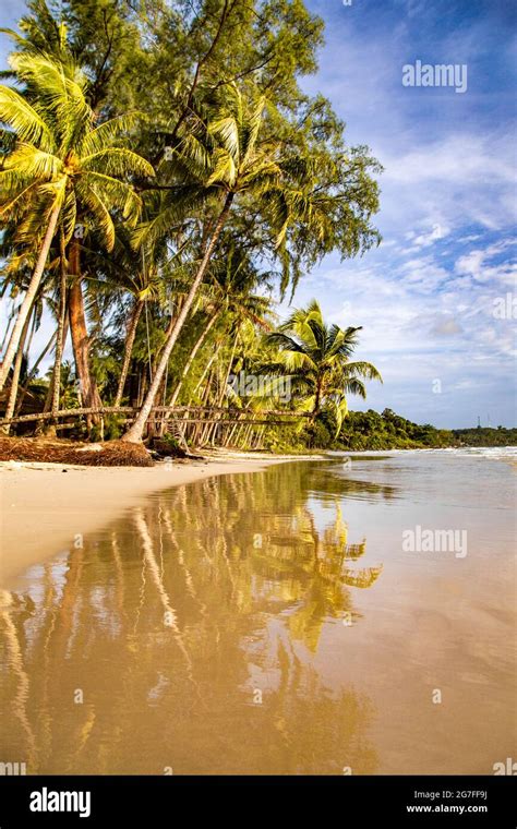 Klong Chao Beach And Its Double Palm Trees In Koh Kood Trat Thailand Stock Photo Alamy