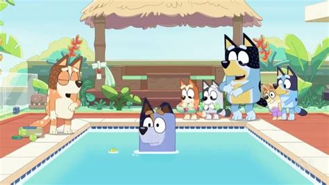 Bluey Season 2 Episode 51 Christmas Swim Watch Cartoons Online