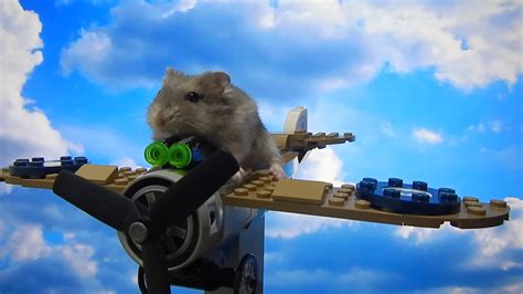 Hamster Super Pilot Youtube