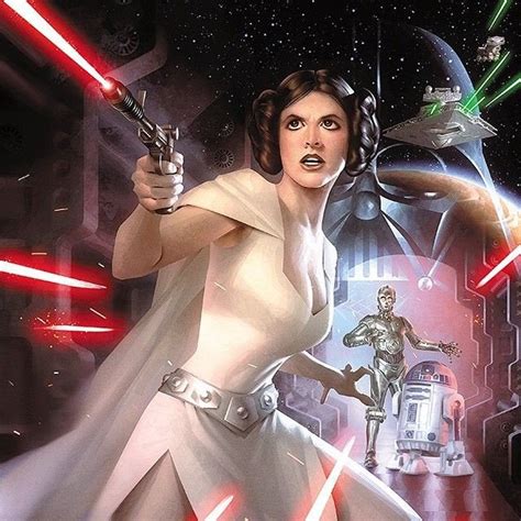 Princess Leia Darth Vader C3po And R2d2 By Alex Garner Starwars