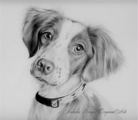 Maybe you would like to learn more about one of these? CUSTOM Portrait, 8x8 Pet Portrait, Animals, Dog, Cat, Puppy, Pencil, Charcoal, Face, Special ...