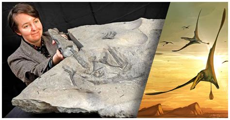 Ancient Fossil Unveils A Fascinating New Pterosaur Species Found In England