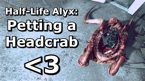 Half Life Alyx Trapping A Headcrab In A Bucket YouTube