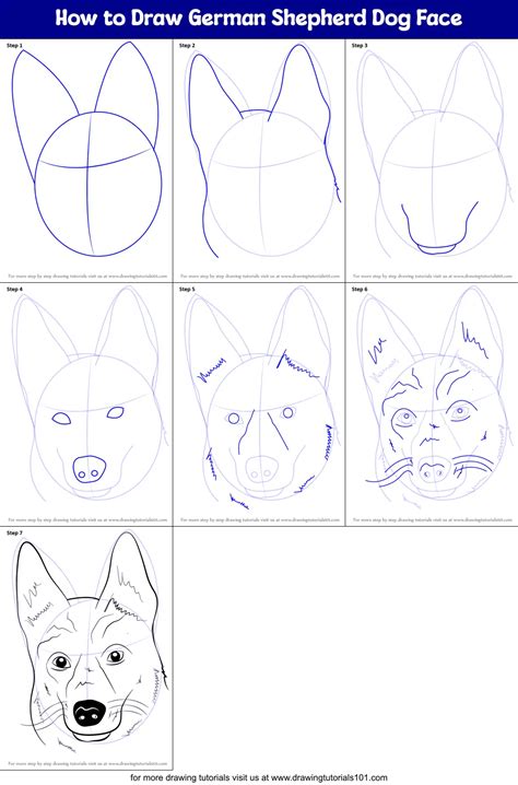 How To Draw German Shepherd Dog Face Farm Animals Step By Step