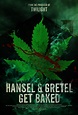 Sección visual de Hansel y Gretel: La bruja del Bosque Negro - FilmAffinity