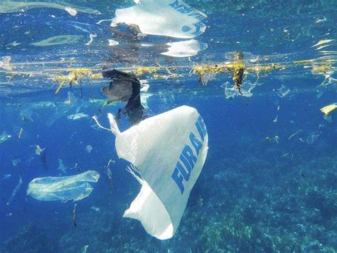 Plastikverschmutzung A Plastic Ocean Zeigt Folgen Für Weltmeere Stadtmagazin Dates