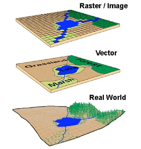 Raster And Vector Data Types As Representative Of Real World